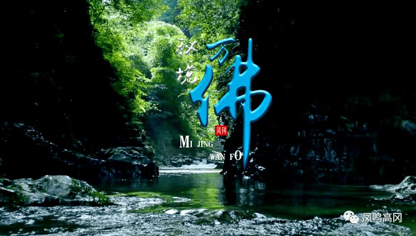 君乐宝集团主导2023婴幼儿营养国际研讨会，集中展现全球智慧