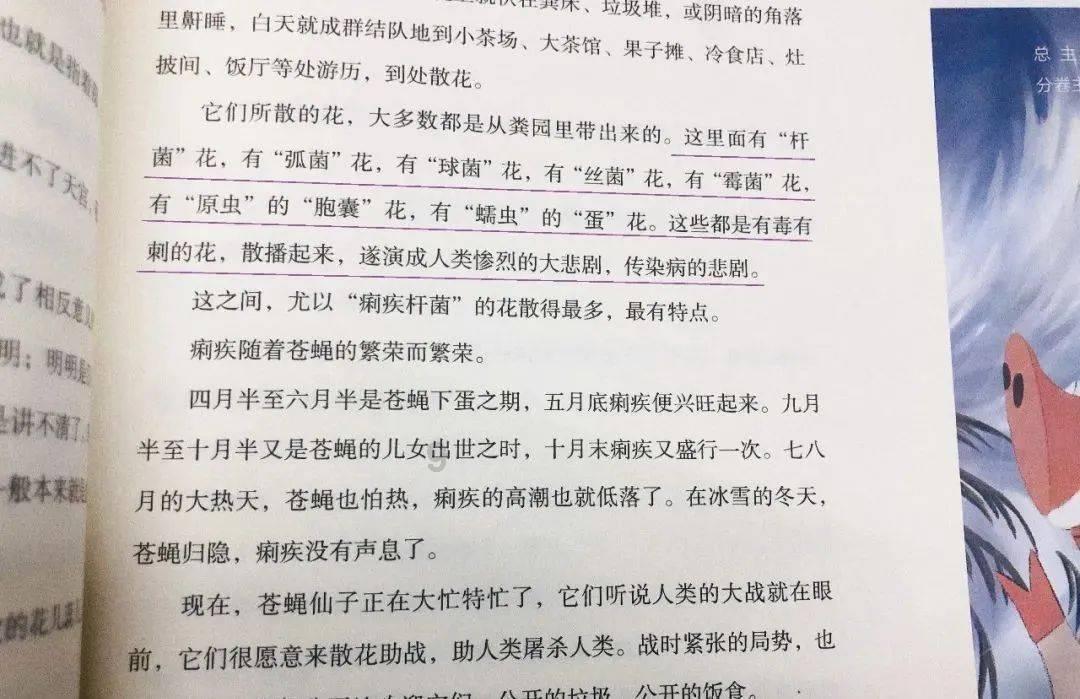 国家魔法森林逃亡